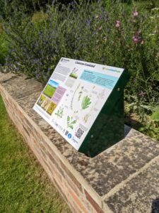 Low-level interpretation sign about Limestone Grassland, mounted within a dark green metal lectern-style frame. Positioned alongside a wildflower planting area, the sign features illustrated drawings of native grassland plants, photographs of flowers and habitats, and explanatory text describing the ecology and importance of limestone grassland. The layout incorporates a white background with green and pastel-coloured information panels, plant identification diagrams, and a QR code for additional information. The educational display is designed to help visitors identify local species and learn about the habitat's biodiversity and conservation value.