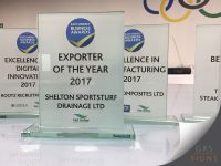 An award for East Lindsey Business Awards 2017. Examples shown are Food Business of the year 2017 (awarded to Minting Park Farm) and Young Entrepreneur of the year 2017 (awarded to Sophie Watkinson). The awards feature black capital lettering and East Lindsey logos.