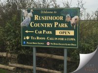 Large roadside sign, mounted/installed on dual-posts for Rushmoor Country Park, featuring a dark green background with gold lettering and decorative imagery. Imagery includes farm animals and wildlife: a lamb, duck, snowy owl, peacock, rabbit, and pig are positioned around the border of the sign. The main text reads “Welcome to Rushmoor Country Park”, with a left-pointing arrow directing visitors to the Car Park. A gold panel displays the word “OPEN”. Additional information promotes the Tea Room with the message “Call in for a cuppa”. Safety and visitor notices along the bottom include “Please Drive Slowly” and “No Dogs Except Guide Dogs”, accompanied by small pictograms. The sign is mounted on grey posts and surrounded by trees and vegetation.